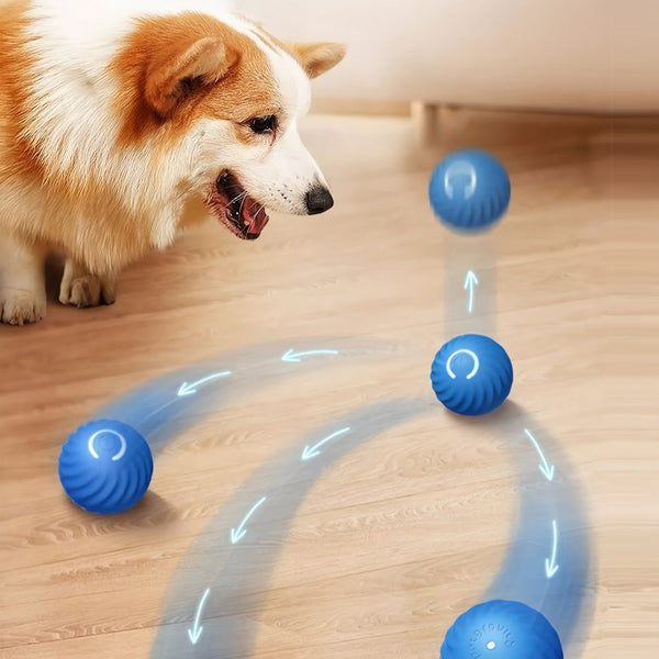 Fun Interactive Rolling Ball Toy