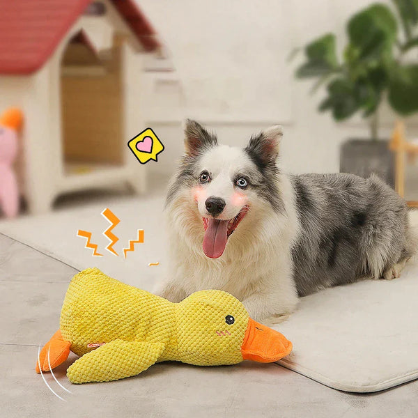 🏆Quack-Quack Duck Dog Toy✨