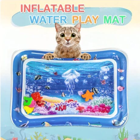 PurrPlay Inflatable Water Play Mat
