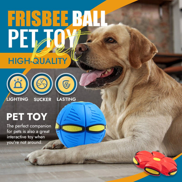 (Last Day 49% Off)Pet Toy Flying Saucer Ball