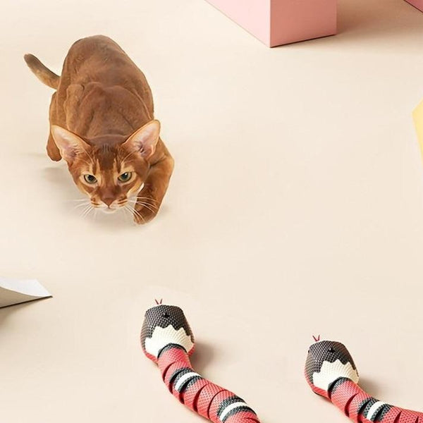 Whiskers And Claws – Smart Sensing Snake